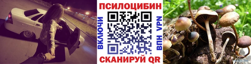Галлюциногенные грибы мицелий  Козьмодемьянск 